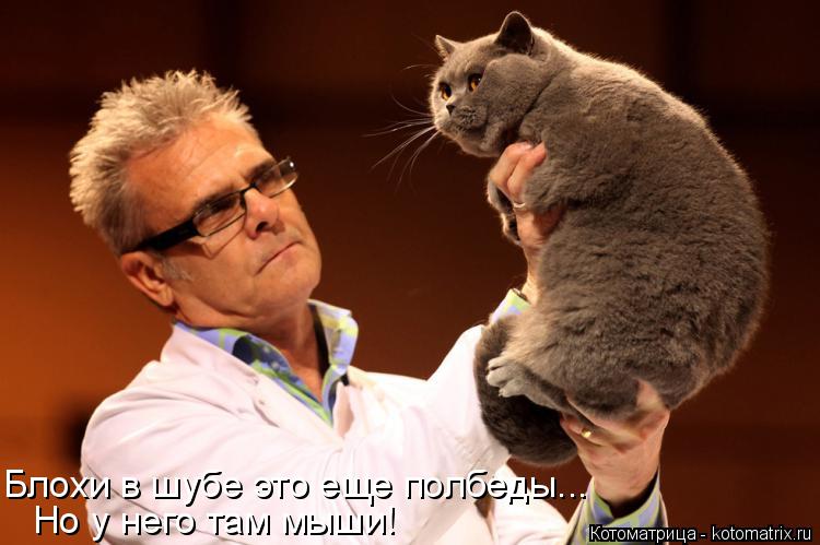 Блохи в шубе это еще полбеды... Но у него там мыши!... Котоматрица: Блохи в шубе это еще полбеды... Но у него там мыши!