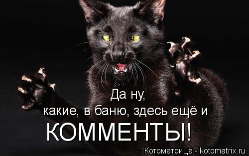 Котоматрица: Да ну, какие, в баню, здесь ещё и КОММЕНТЫ!