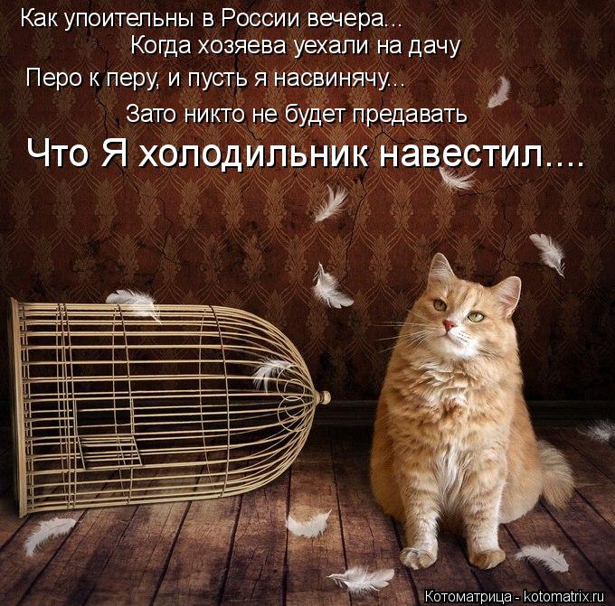 Как упоительны в России вечера... Когда хозяева уехали на дачу Перо к перу, и пусть я насвинячу... За... Котоматрица: Как упоительны в России вечера... Когда хозяева уехали на дачу Перо к перу, и пусть я насвинячу... Зато никто не будет предавать Что Я холодиль
