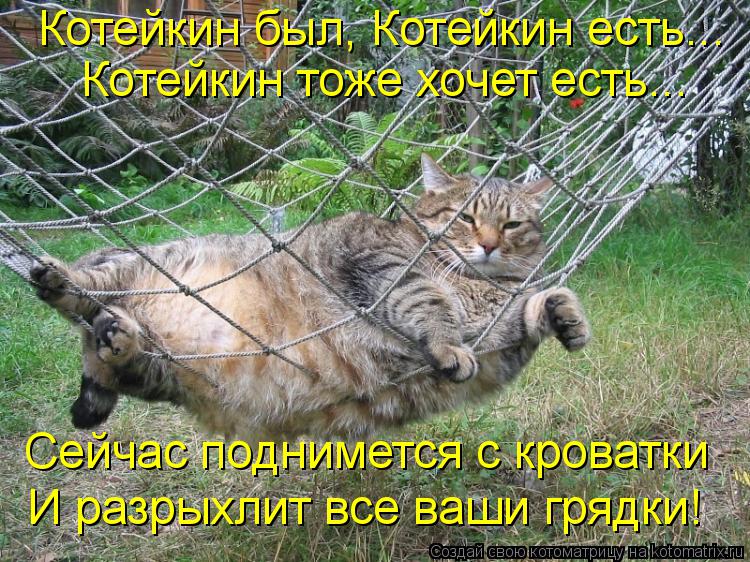 Котейкин был, Котейкин есть... Котейкин тоже хочет есть... Сейчас поднимется с кроватки И разрыхлит в... Котоматрица: Котейкин был, Котейкин есть... Котейкин тоже хочет есть... Сейчас поднимется с кроватки И разрыхлит все ваши грядки!