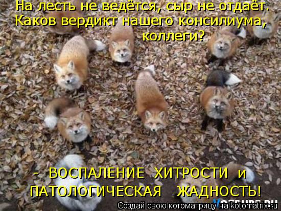 - ВОСПАЛЕНИЕ ХИТРОСТИ и ПАТОЛОГИЧЕСКАЯ ЖАДНОСТЬ! На лесть не ведётся, сыр не отдаёт. Каков верди... Котоматрица: - ВОСПАЛЕНИЕ ХИТРОСТИ и ПАТОЛОГИЧЕСКАЯ ЖАДНОСТЬ! На лесть не ведётся, сыр не отдаёт. Каков вердикт нашего консилиума, коллеги?