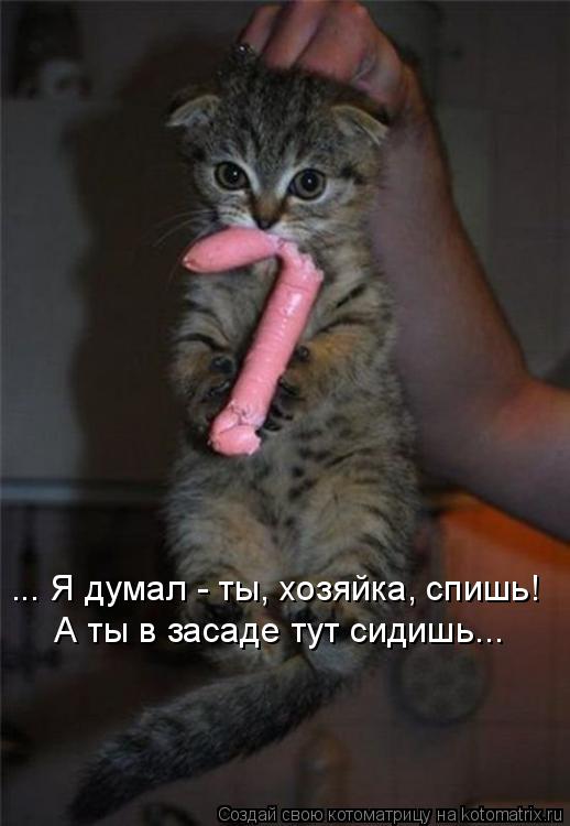 А ты в засаде тут сидишь... ... Я думал - ты, хозяйка, спишь!... Котоматрица: А ты в засаде тут сидишь... ... Я думал - ты, хозяйка, спишь!