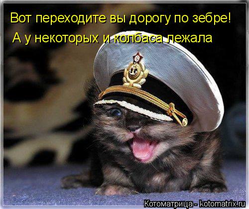Вот переходите вы дорогу по зебре! А у некоторых и колбаса лежала... Котоматрица: Вот переходите вы дорогу по зебре! А у некоторых и колбаса лежала