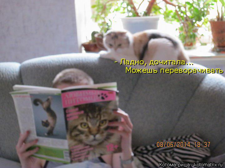 - Ладно, дочитала... Можешь переворачивать... Котоматрица: - Ладно, дочитала... Можешь переворачивать