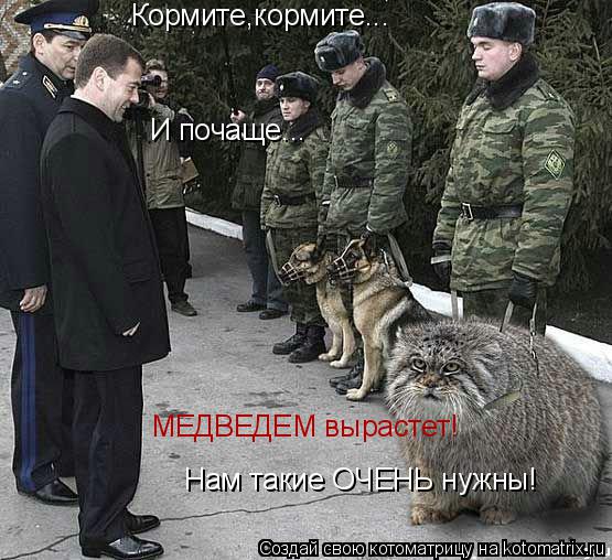 Кормите,кормите... МЕДВЕДЕМ вырастет! Нам такие ОЧЕНЬ нужны! И почаще...... Котоматрица: Кормите,кормите... МЕДВЕДЕМ вырастет! Нам такие ОЧЕНЬ нужны! И почаще...