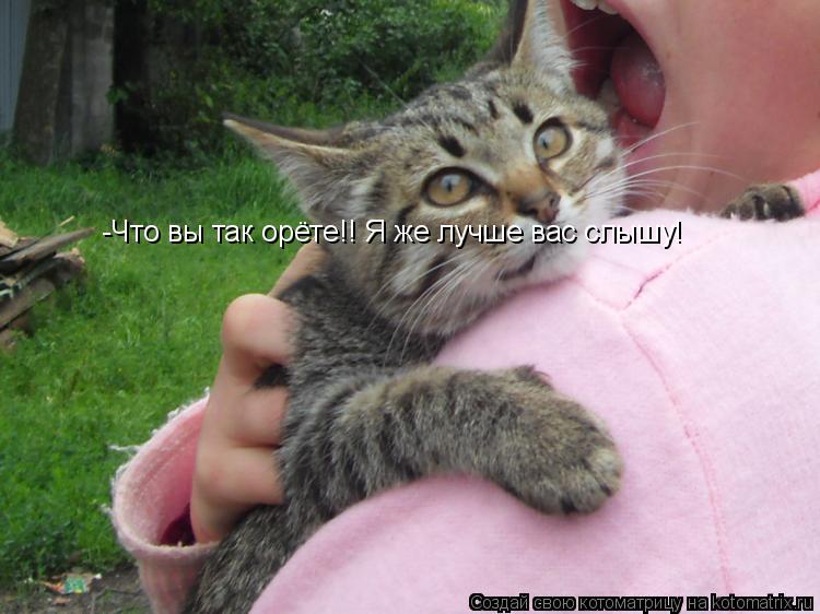 -Что вы так орёте!! Я же лучше вас слышу!... Котоматрица: -Что вы так орёте!! Я же лучше вас слышу!