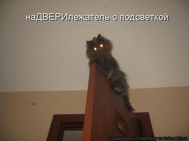 наДВЕРИлежатель с подсветкой... Котоматрица: наДВЕРИлежатель с подсветкой