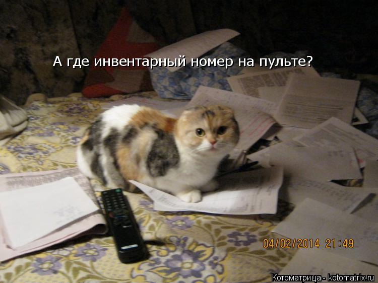 А где инвентарный номер на пульте?... Котоматрица: А где инвентарный номер на пульте?