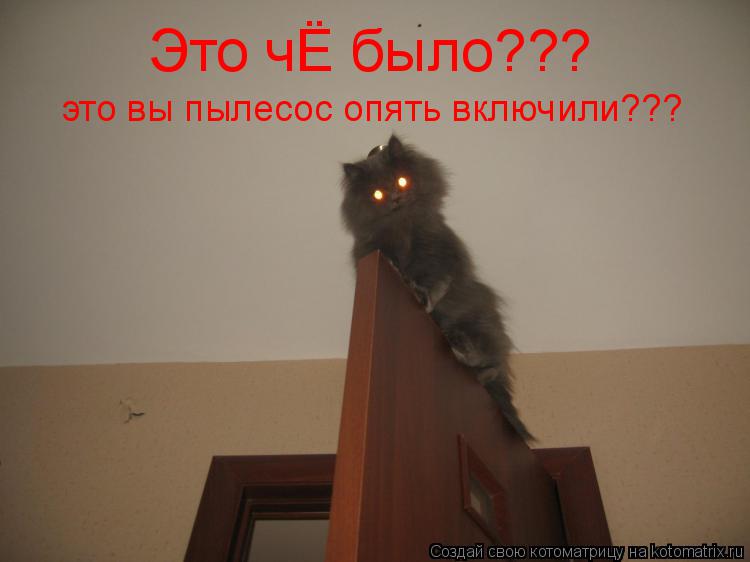 Это чЁ было??? это вы пылесос опять включили???... Котоматрица: Это чЁ было??? это вы пылесос опять включили???