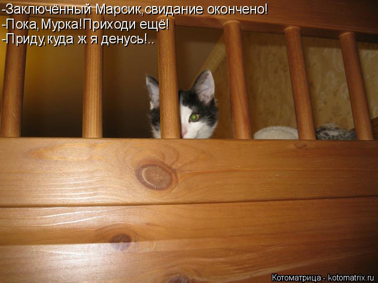-Заключённый Марсик,свидание окончено! -Пока,Мурка!Приходи ещё! -Приду,куда ж я денусь!..... Котоматрица: -Заключённый Марсик,свидание окончено! -Пока,Мурка!Приходи ещё! -Приду,куда ж я денусь!..