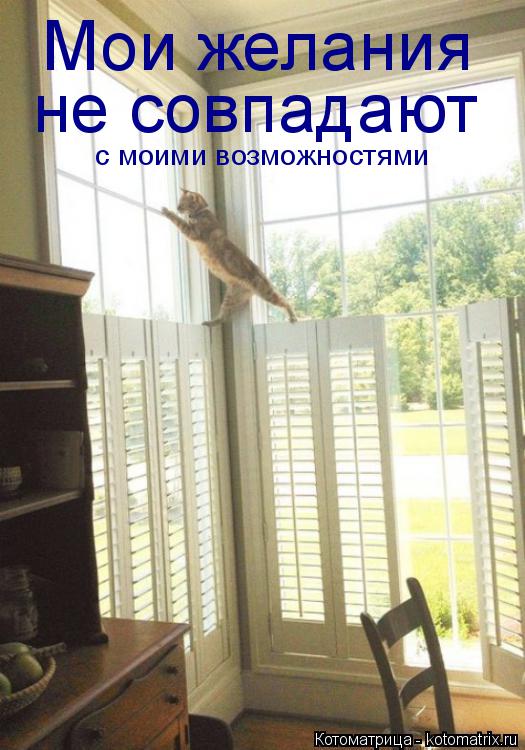 Мои желания не совпадают с моими возможностями... Котоматрица: Мои желания не совпадают с моими возможностями