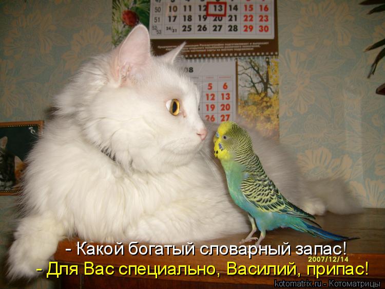 - Какой богатый словарный запас! - Для Вас специально, Василий, припас!... Котоматрица: - Какой богатый словарный запас! - Для Вас специально, Василий, припас!