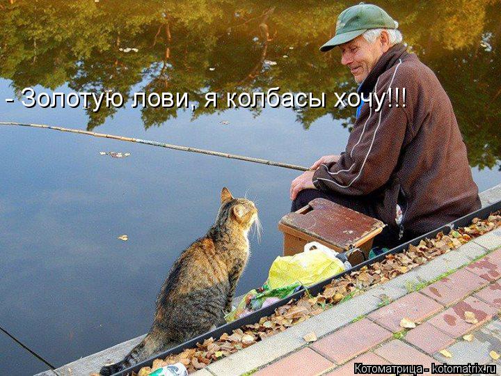 - Золотую лови, я колбасы хочу!!!... Котоматрица: - Золотую лови, я колбасы хочу!!!