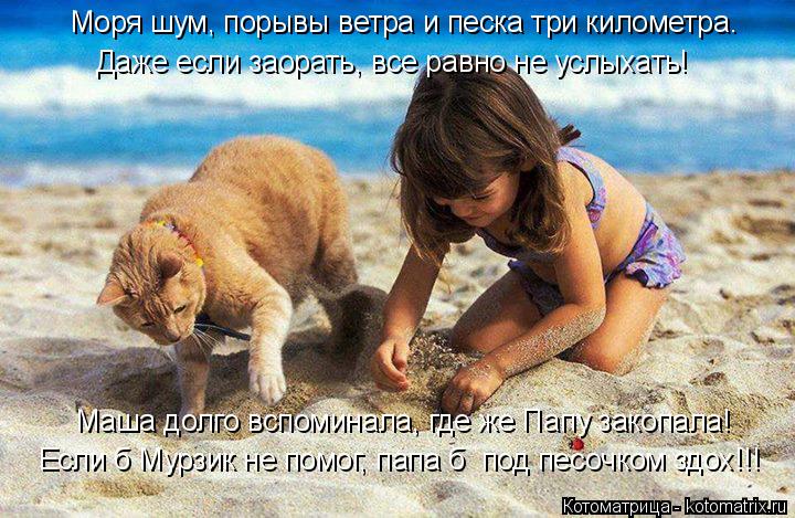 Маша долго вспоминала, где же Папу закопала! Если б Мурзик не помог, папа б под песочком здох!!! Мор... Котоматрица: Маша долго вспоминала, где же Папу закопала! Если б Мурзик не помог, папа б под песочком здох!!! Моря шум, порывы ветра и песка три километра.