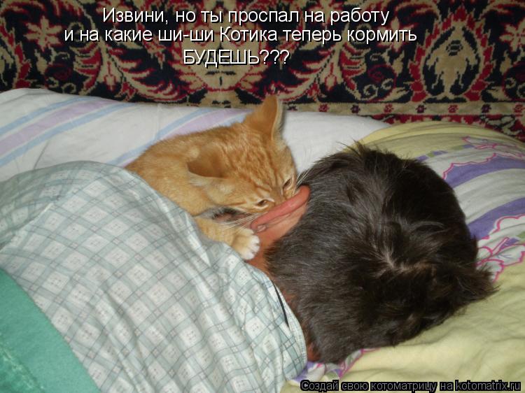 Извини, но ты проспал на работу и на какие ши-ши Котика теперь кормить БУДЕШЬ???... Котоматрица: Извини, но ты проспал на работу и на какие ши-ши Котика теперь кормить БУДЕШЬ???