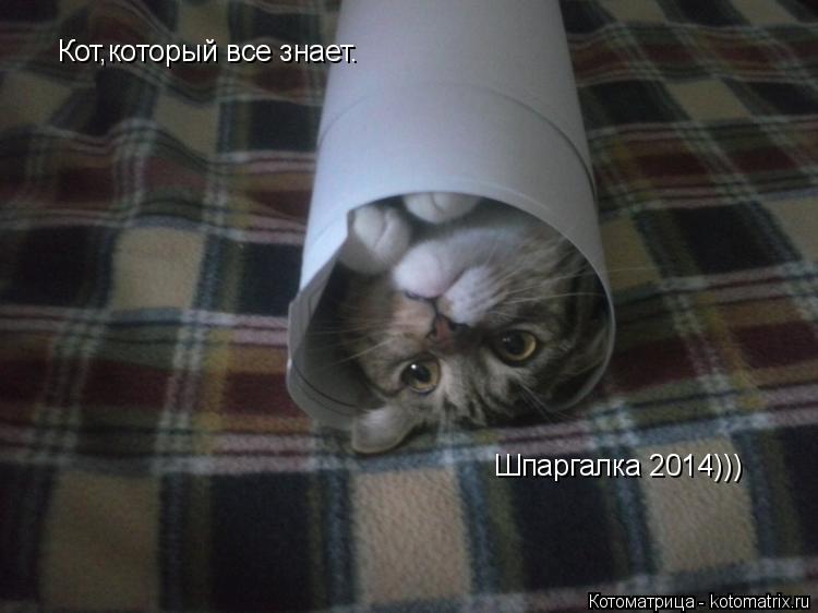 Кот,который все знает. Шпаргалка 2014)))... Котоматрица: Кот,который все знает. Шпаргалка 2014)))