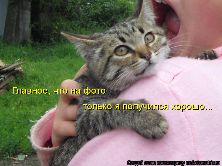 Главное, что на фото только я получился хорошо...... Котоматрица: Главное, что на фото только я получился хорошо...