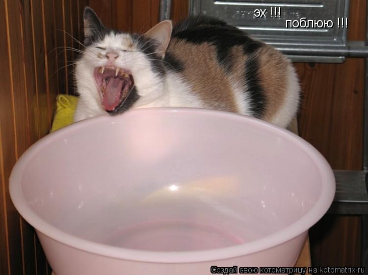эх !!! поблюю !!!... Котоматрица: эх !!! поблюю !!!