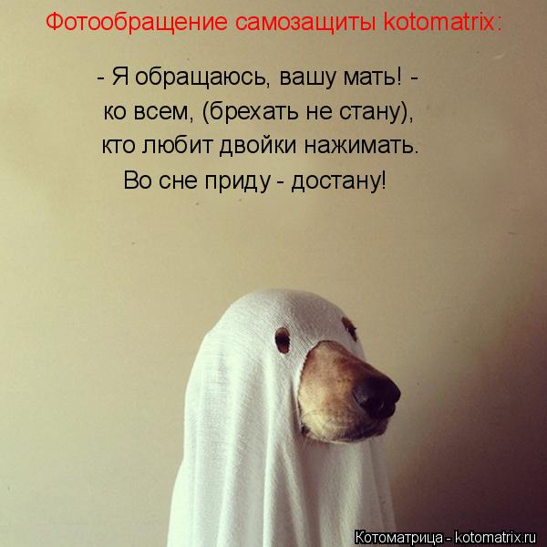 Котоматрица: Фотообращение самозащиты kotomatrix: - Я обращаюсь, вашу мать! - ко всем, (брехать не стану), кто любит двойки нажимать. Во сне приду - достану!