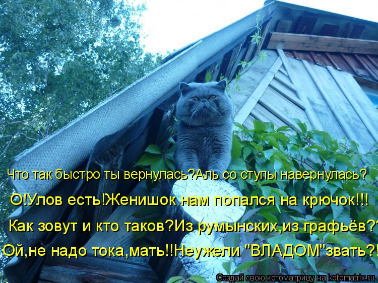 Что так быстро ты вернулась?Аль со ступы навернулась? О!Улов есть!Женишок нам попался на крючок!!! Ка... Котоматрица: Что так быстро ты вернулась?Аль со ступы навернулась? О!Улов есть!Женишок нам попался на крючок!!! Как зовут и кто таков?Из румынских,из графь