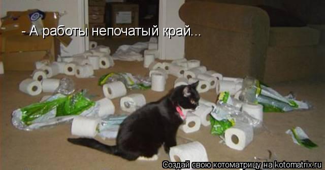 - А работы непочатый край...... Котоматрица: - А работы непочатый край...