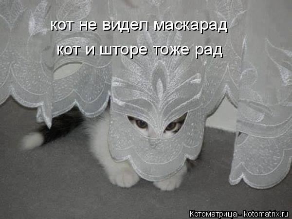 кот не видел маскарад кот и шторе тоже рад... Котоматрица: кот не видел маскарад кот и шторе тоже рад