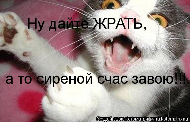 Котоматрица: Ну дайте ЖРАТЬ, а то сиреной счас завою!!!