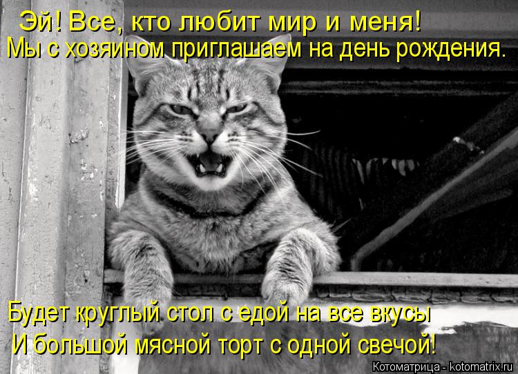 Эй! Все, кто любит мир и меня! Мы с хозяином приглашаем на день рождения. Будет круглый стол с едой н... Котоматрица: Эй! Все, кто любит мир и меня! Мы с хозяином приглашаем на день рождения. Будет круглый стол с едой на все вкусы И большой мясной торт с одной