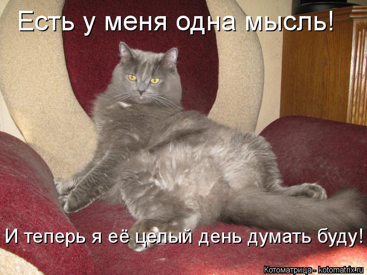 Есть у меня одна мысль! И теперь я её целый день думать буду!... Котоматрица: Есть у меня одна мысль! И теперь я её целый день думать буду!