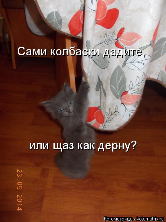 Сами колбаски дадите, или щаз как дерну?... Котоматрица: Сами колбаски дадите, или щаз как дерну?