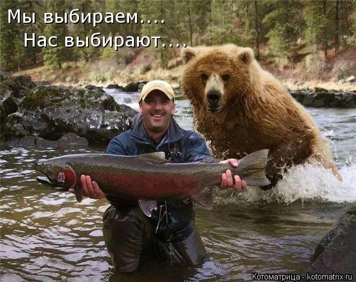 Мы выбираем.... Нас выбирают....... Котоматрица: Мы выбираем.... Нас выбирают....