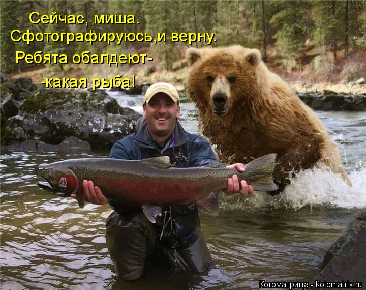 Сфотографируюсь,и верну. Сейчас, миша. Ребята обалдеют- -какая рыба!... Котоматрица: Сфотографируюсь,и верну. Сейчас, миша. Ребята обалдеют- -какая рыба!