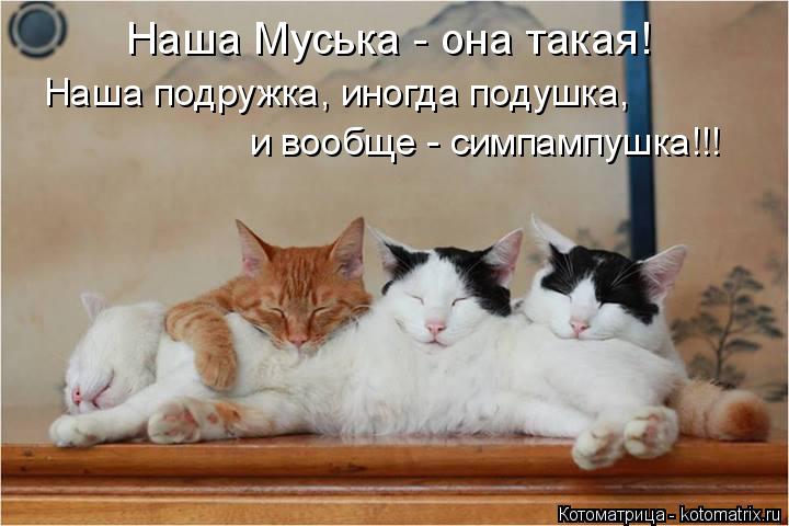 Наша Муська - она такая! и вообще - симпампушка!!! Наша подружка, иногда подушка,... Котоматрица: Наша Муська - она такая! и вообще - симпампушка!!! Наша подружка, иногда подушка,