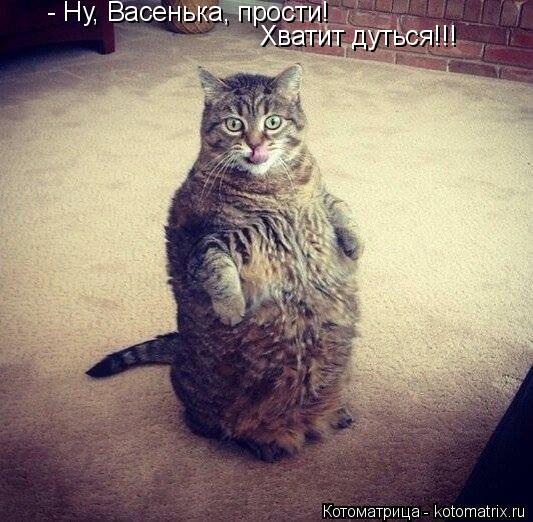 - Ну, Васенька, прости! Хватит дуться!!!... Котоматрица: - Ну, Васенька, прости! Хватит дуться!!!