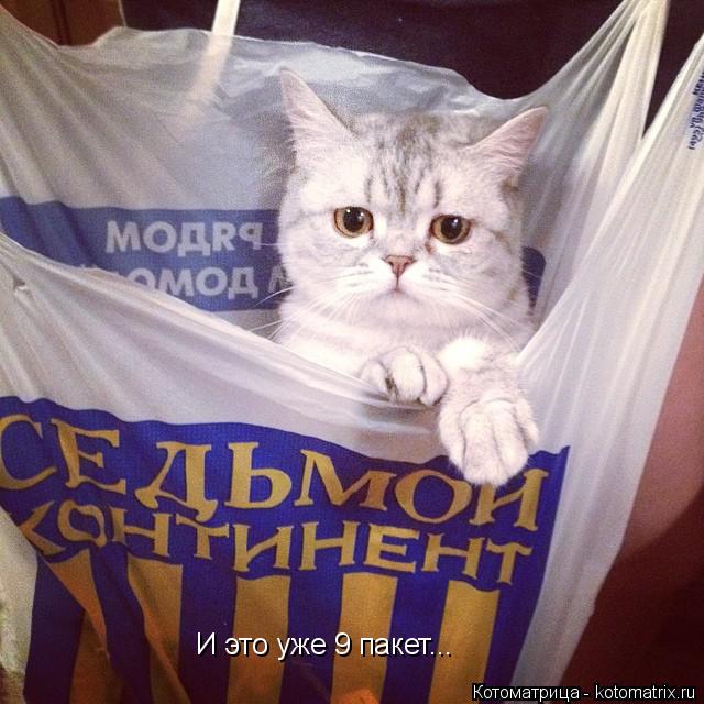 И это уже 9 пакет...... Котоматрица: И это уже 9 пакет...