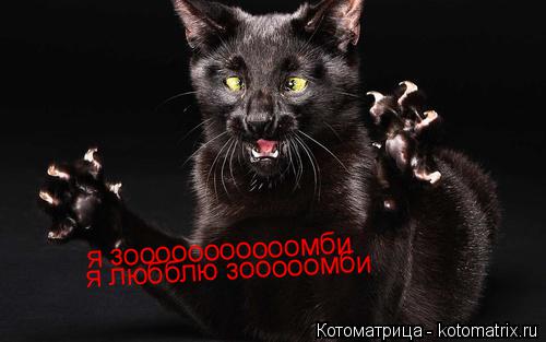я зооооооооооомби я любблю зооооомби... Котоматрица: я зооооооооооомби я любблю зооооомби