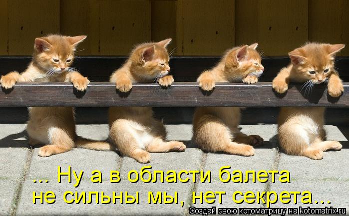 ... Ну а в области балета не сильны мы, нет секрета...... Котоматрица: ... Ну а в области балета не сильны мы, нет секрета...