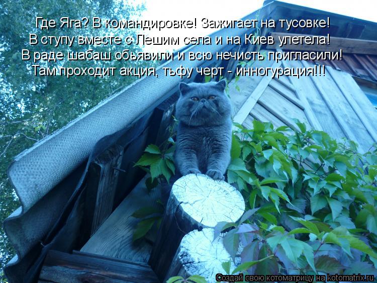Котоматрица: Где Яга? В командировке! Зажигает на тусовке! В ступу вместе с Лешим села и на Киев улетела! В раде шабаш обьявили и всю нечисть пригласили! Т