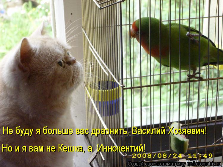 Не буду я больше вас дразнить, Василий Хозяевич! Но и я вам не Кешка, а Иннокентий!... Котоматрица: Не буду я больше вас дразнить, Василий Хозяевич! Но и я вам не Кешка, а Иннокентий!