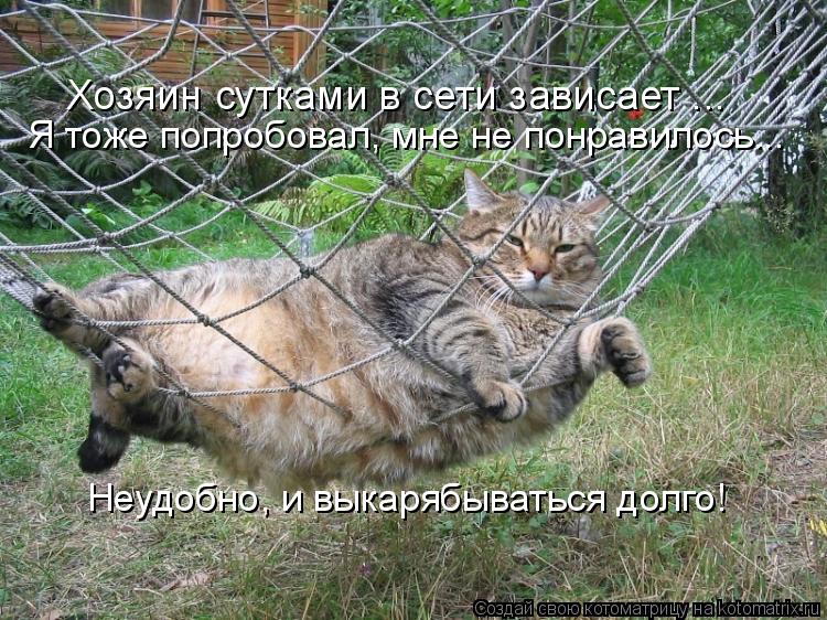 Хозяин сутками в сети зависает ... Я тоже попробовал, мне не понравилось... Неудобно, и выкарябыватьс... Котоматрица: Хозяин сутками в сети зависает ... Я тоже попробовал, мне не понравилось... Неудобно, и выкарябываться долго!