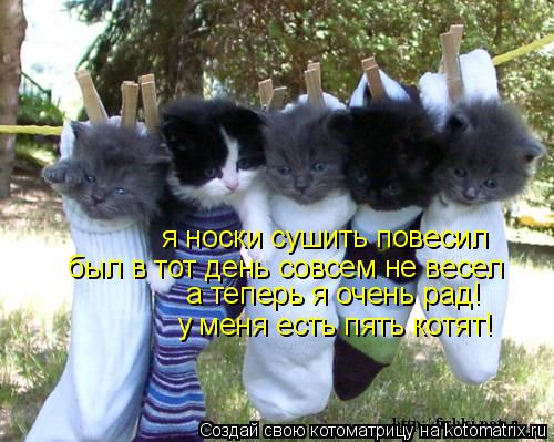 я носки сушить повесил был в тот день совсем не весел а теперь я очень рад! у меня есть пять котят!... Котоматрица: я носки сушить повесил был в тот день совсем не весел а теперь я очень рад! у меня есть пять котят!