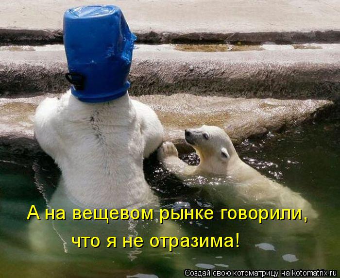 А на вещевом рынке говорили, что я не отразима!... Котоматрица: А на вещевом рынке говорили, что я не отразима!