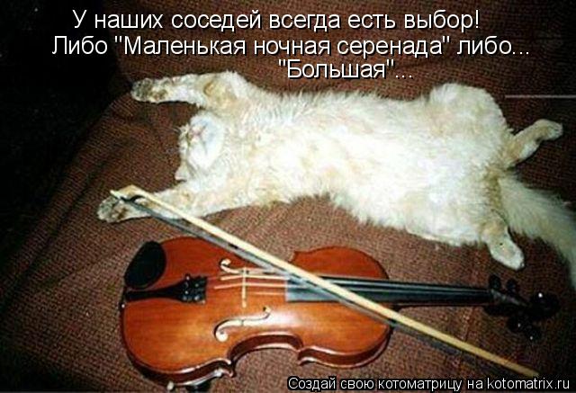 У наших соседей всегда есть выбор! Либо "Маленькая ночная серенада" либо... "Большая"...... Котоматрица: У наших соседей всегда есть выбор! Либо "Маленькая ночная серенада" либо... "Большая"...