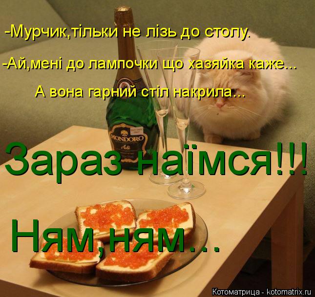 -Мурчик,тільки не лізь до столу. -Ай,мені до лампочки що хазяйка каже... А вона гарний стіл накрила..... Котоматрица: -Мурчик,тільки не лізь до столу. -Ай,мені до лампочки що хазяйка каже... А вона гарний стіл накрила... Зараз наїмся!!! Ням,ням...
