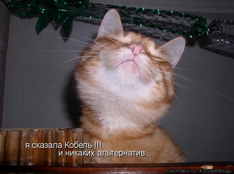я сказала Кобель !!! и никаких альтернатив....... Котоматрица: я сказала Кобель !!! и никаких альтернатив....