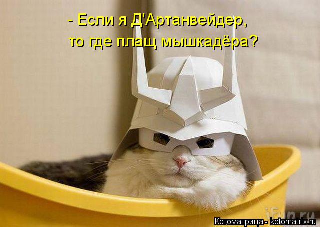 Котоматрица: - Если я Д'Артанвейдер,  то где плащ мышкадёра?