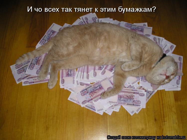 И чо всех так тянет к этим бумажкам?... Котоматрица: И чо всех так тянет к этим бумажкам?