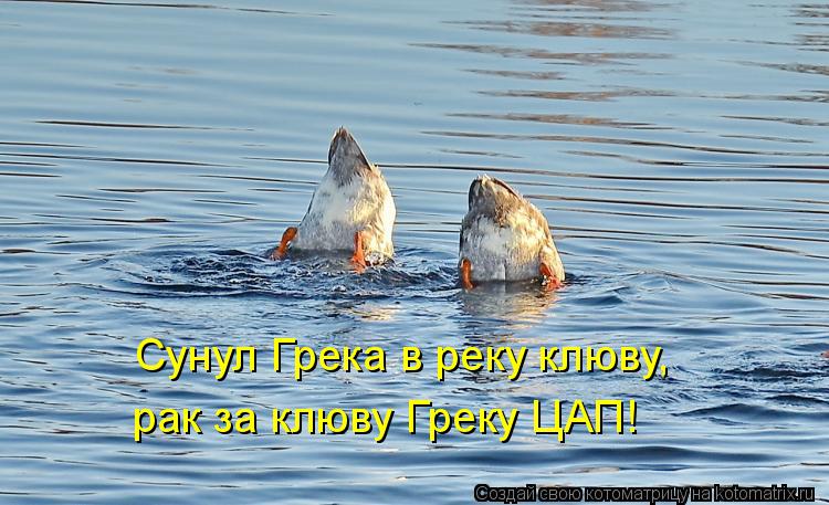 Сунул Грека в реку клюву, рак за клюву Греку ЦАП!... Котоматрица: Сунул Грека в реку клюву, рак за клюву Греку ЦАП!