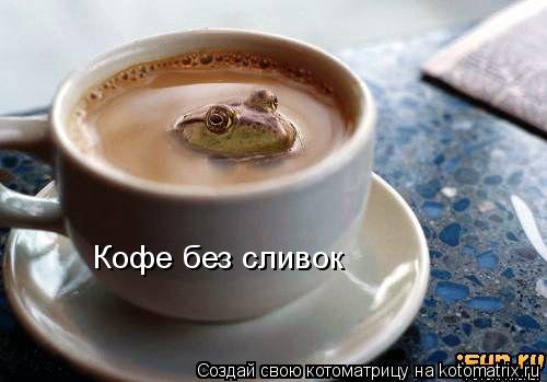 Котоматрица: Кофе без сливок