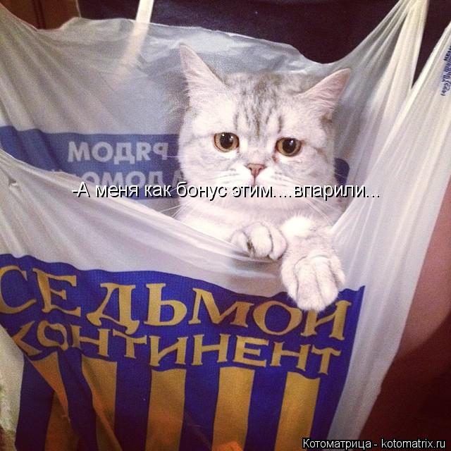 -А меня как бонус этим....впарили...... Котоматрица: -А меня как бонус этим....впарили...